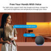 Imagen de Sonoff L2 Lite-5M Cinta LED Inteligente WiFi y BT